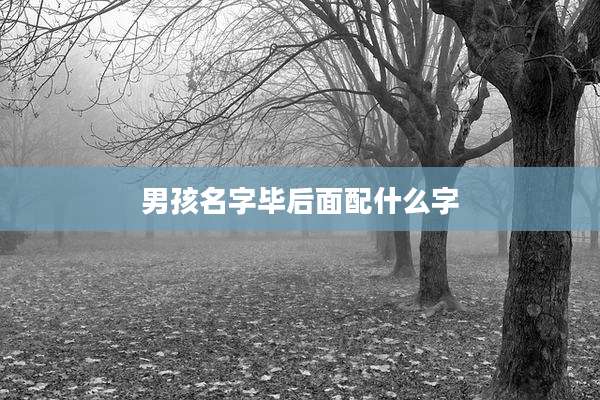 男孩名字毕后面配什么字