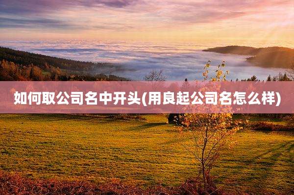 如何取公司名中开头(用良起公司名怎么样)