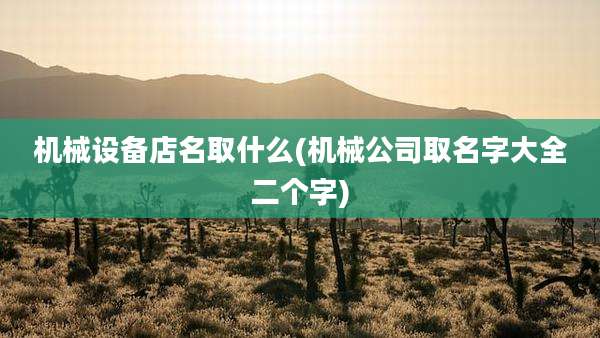 机械设备店名取什么(机械公司取名字大全二个字)