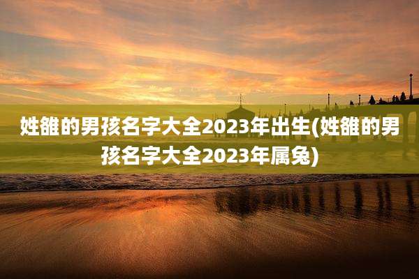 姓雒的男孩名字大全2023年出生(姓雒的男孩名字大全2023年属兔)