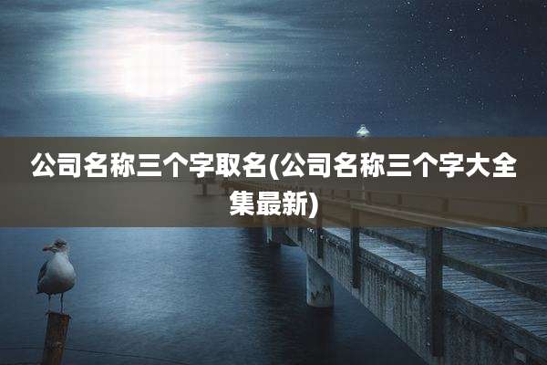 公司名称三个字取名(公司名称三个字大全集最新)