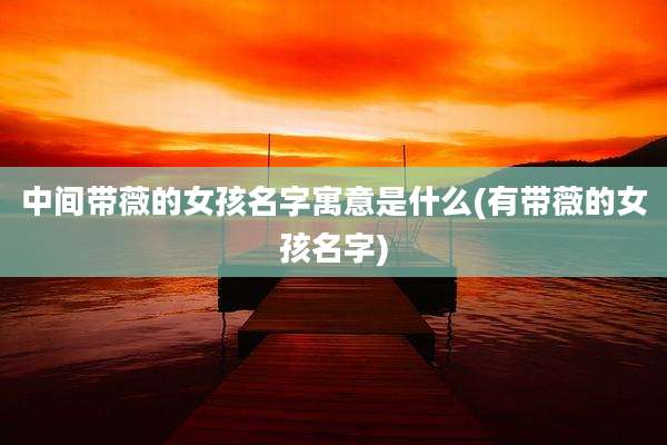 中间带薇的女孩名字寓意是什么(有带薇的女孩名字)