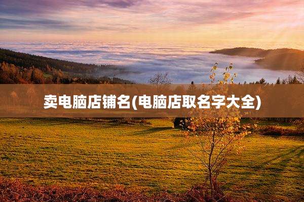 卖电脑店铺名(电脑店取名字大全)