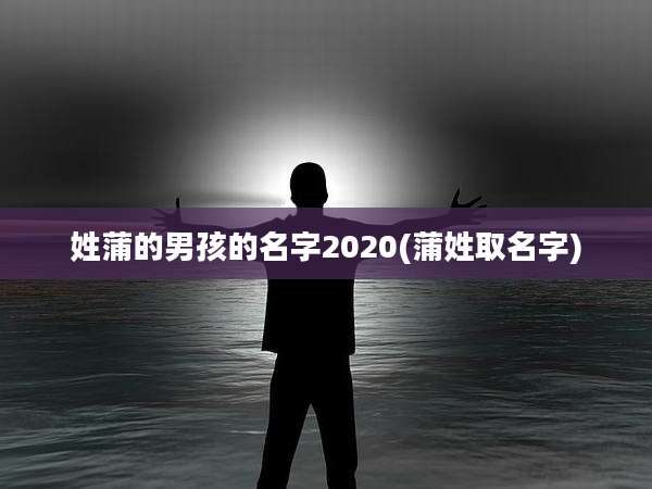 姓蒲的男孩的名字2020(蒲姓取名字)