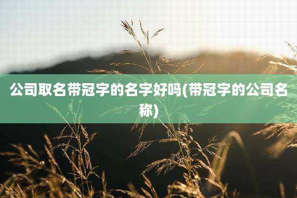 公司取名带冠字的名字好吗(带冠字的公司名称)