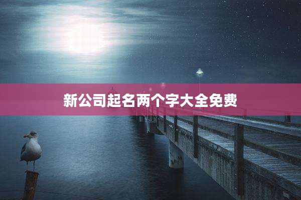 新公司起名两个字大全免费