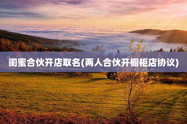 闺蜜合伙开店取名(两人合伙开橱柜店协议)