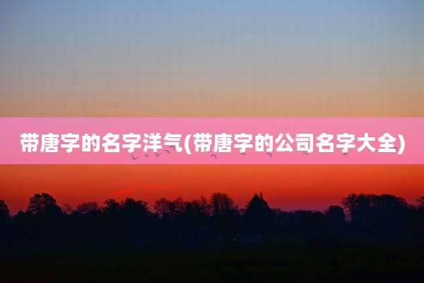 带唐字的名字洋气(带唐字的公司名字大全)