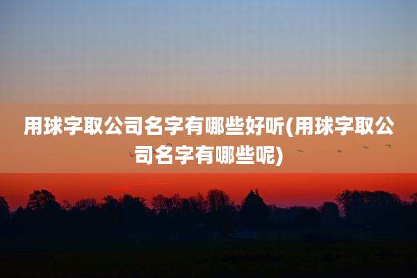 用球字取公司名字有哪些好听(用球字取公司名字有哪些呢)