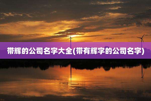 带辉的公司名字大全(带有辉字的公司名字)