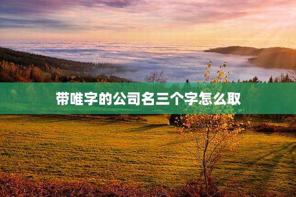 带唯字的公司名三个字怎么取