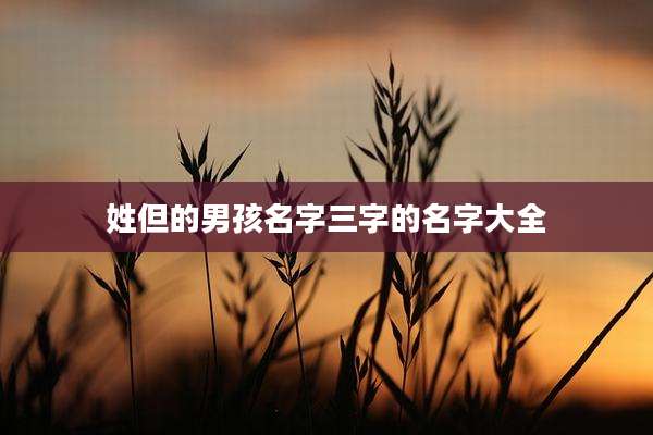 姓但的男孩名字三字的名字大全
