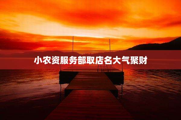 小农资服务部取店名大气聚财