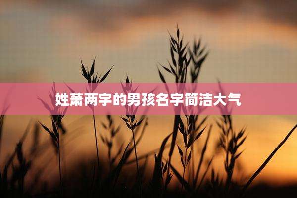 姓萧两字的男孩名字简洁大气