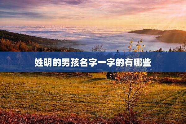 姓明的男孩名字一字的有哪些
