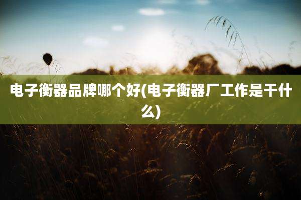 电子衡器品牌哪个好(电子衡器厂工作是干什么)