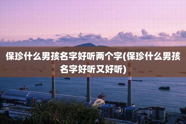 保珍什么男孩名字好听两个字(保珍什么男孩名字好听又好听)