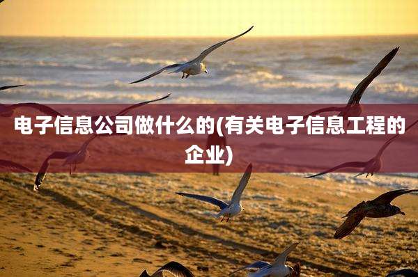 电子信息公司做什么的(有关电子信息工程的企业)