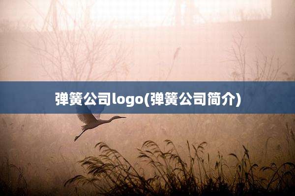 弹簧公司logo(弹簧公司简介)