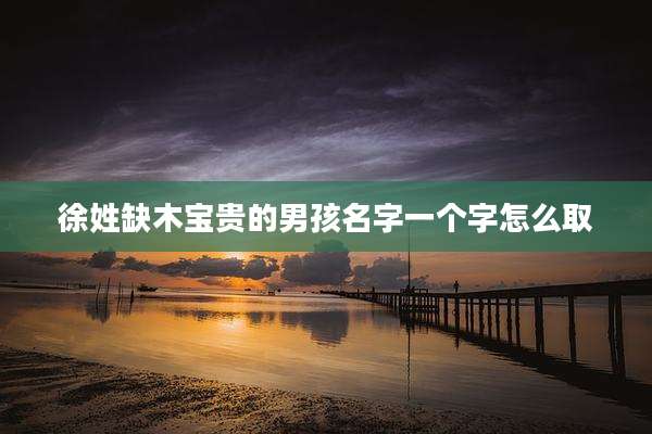 徐姓缺木宝贵的男孩名字一个字怎么取