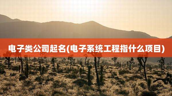 电子类公司起名(电子系统工程指什么项目)