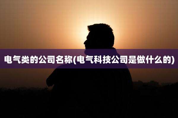电气类的公司名称(电气科技公司是做什么的)