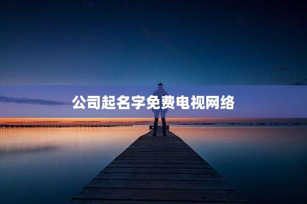 公司起名字免费电视网络