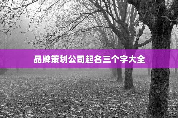 品牌策划公司起名三个字大全