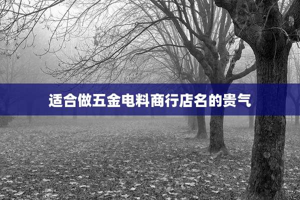 适合做五金电料商行店名的贵气