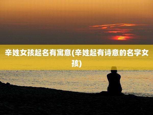 辛姓女孩起名有寓意(辛姓起有诗意的名字女孩)