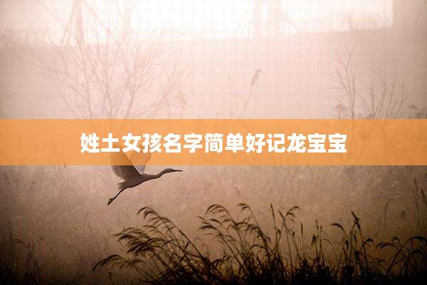 姓土女孩名字简单好记龙宝宝