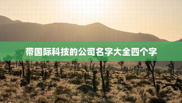 带国际科技的公司名字大全四个字