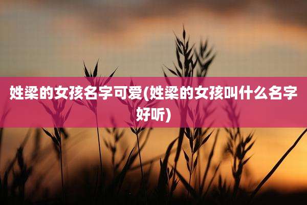 姓梁的女孩名字可爱(姓梁的女孩叫什么名字好听)