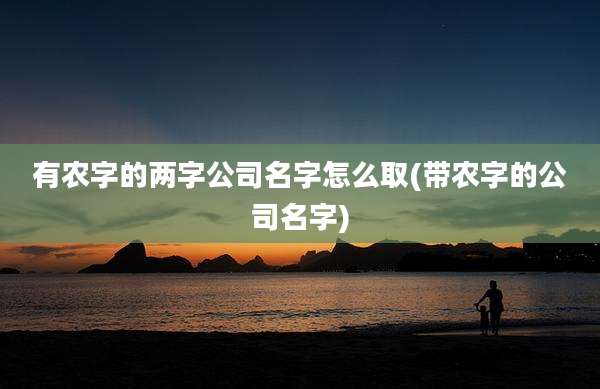 有农字的两字公司名字怎么取(带农字的公司名字)