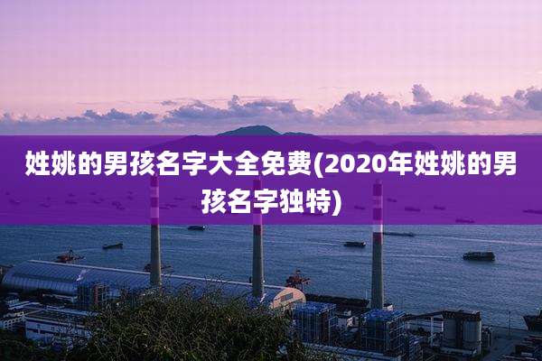 姓姚的男孩名字大全免费(2020年姓姚的男孩名字独特)