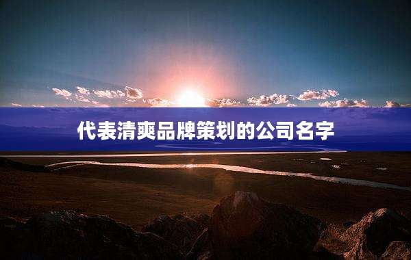代表清爽品牌策划的公司名字