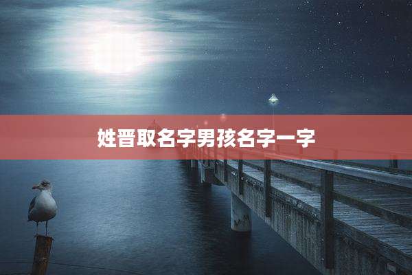 姓晋取名字男孩名字一字