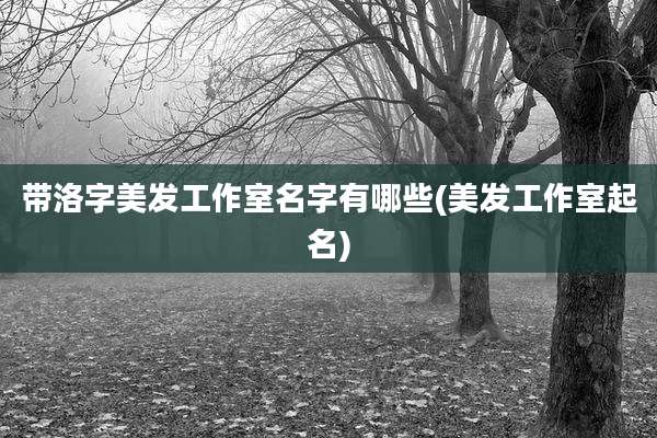 带洛字美发工作室名字有哪些(美发工作室起名)