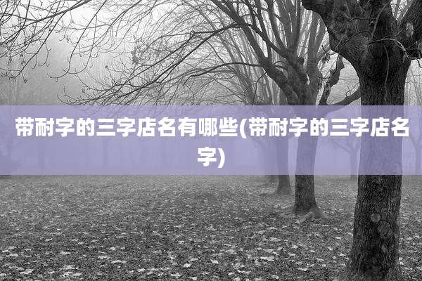 带耐字的三字店名有哪些(带耐字的三字店名字)