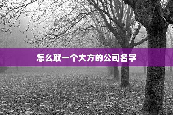 怎么取一个大方的公司名字