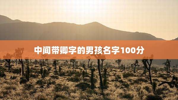 中间带卿字的男孩名字100分