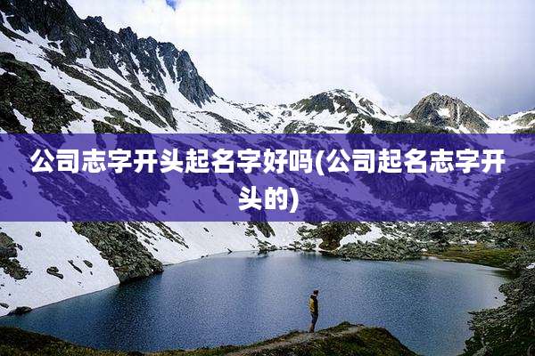 公司志字开头起名字好吗(公司起名志字开头的)