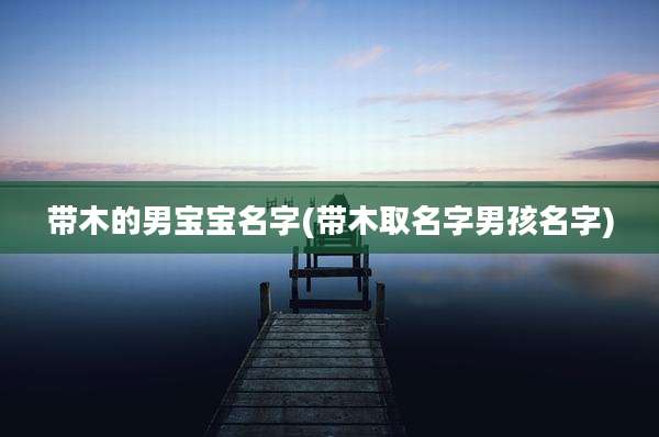 带木的男宝宝名字(带木取名字男孩名字)