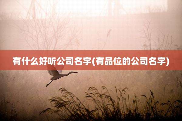 有什么好听公司名字(有品位的公司名字)