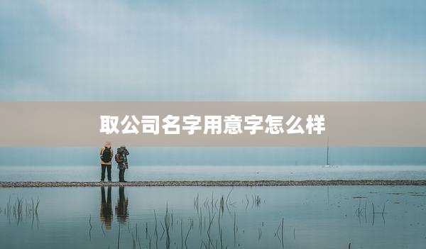 取公司名字用意字怎么样