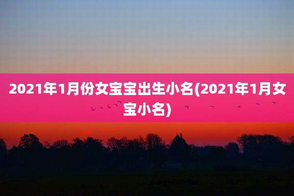 2021年1月份女宝宝出生小名(2021年1月女宝小名)