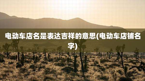 电动车店名是表达吉祥的意思(电动车店铺名字)