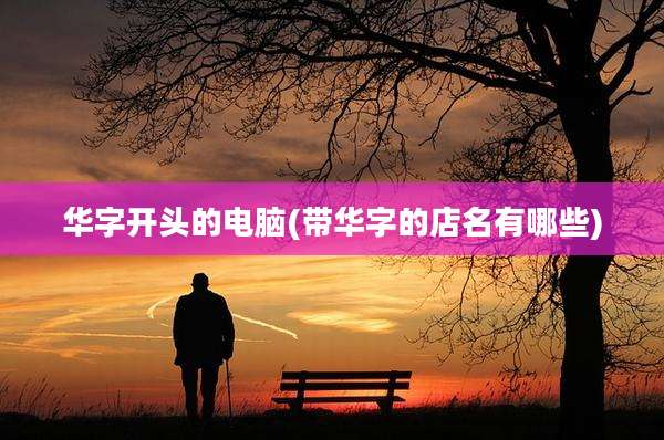 华字开头的电脑(带华字的店名有哪些)