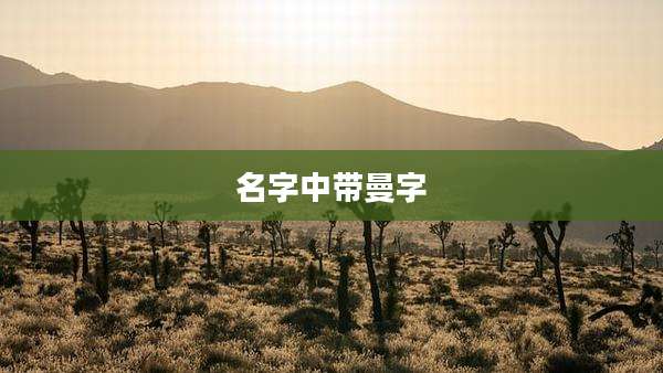 名字中带曼字