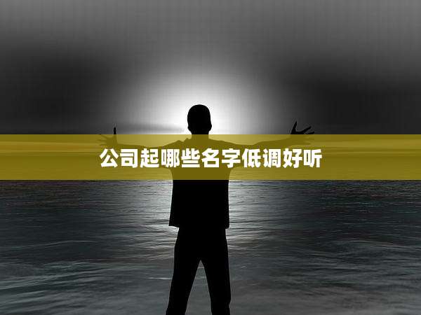 公司起哪些名字低调好听